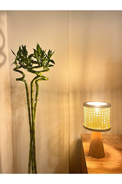 İthal ŞANS BAMBUSU LUCKY BAMBOO 80cm-100cm (1 ADET)