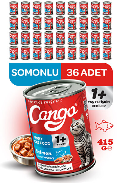Cango Yetişkin Yaş Kedi Maması Somonlu 415Gr 36Lı