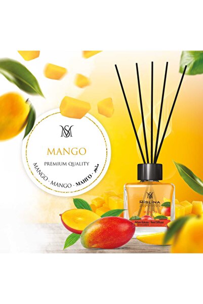 Mislina Set of 3 Room Air Fresheners with Sticks – Premium – Melon, Mango, Jasmine