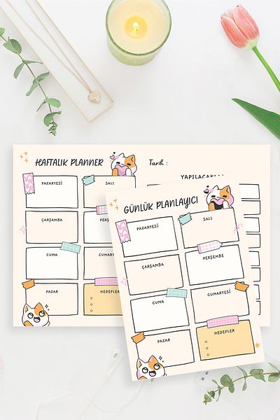 shop Cat Patterned 2-Piece Horizontal A4 & A5 Notepad, Memo Pad, Notepad, Check List, School Notebook, Planner