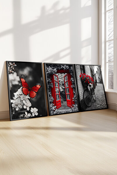 STARYUNA Crveni detaljni crno-beli tematski set od 3 slika u crnom drvenom ok...