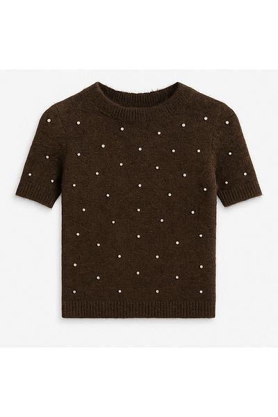 Amia&Co. Bitter Brown Stone Embroidered Crew Neck Short Sleeve Sweater
