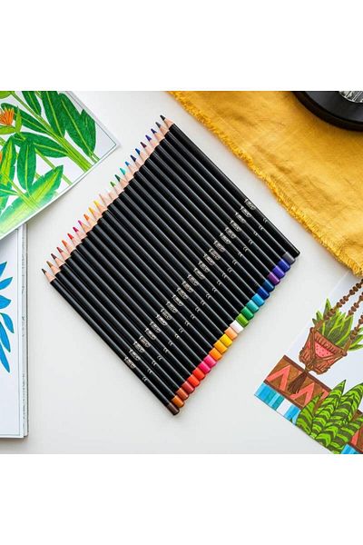 Bic Intensity Premium wooden colored pencils 3.3 mm 12 pcs