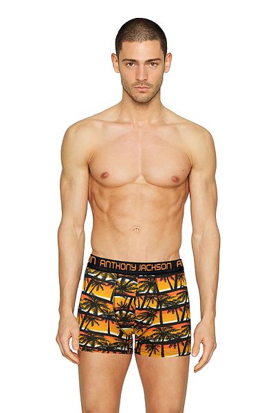 ANTHONY JACKSON Lycra 5-Piece-3-Piece Box Patterned Premium Men's Boxer Palm Horizon