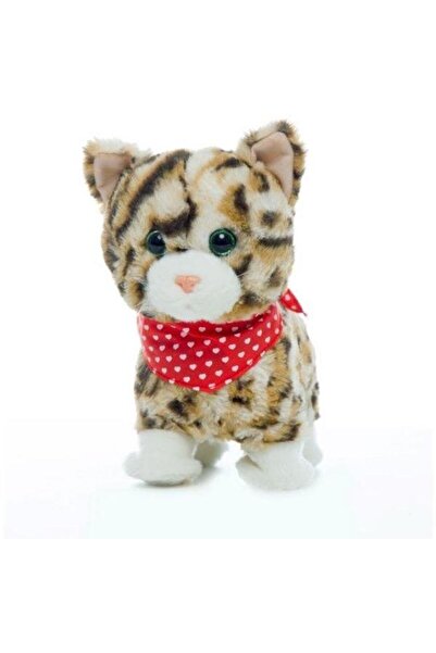 Piccolino Botic, motanelul cu batic