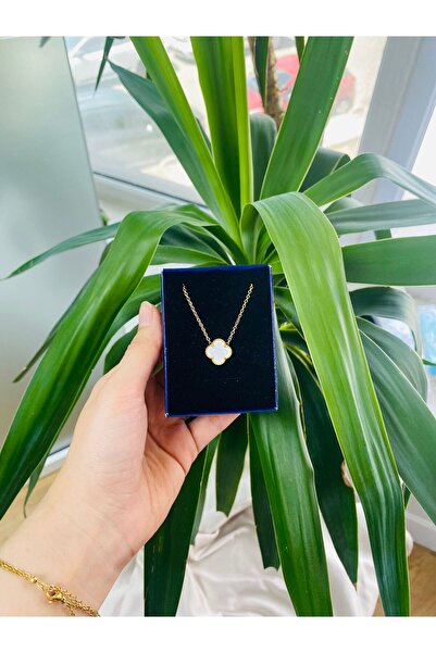 MODA Beyaz Yonca Paslanmaz Çelik Kadın Kolye