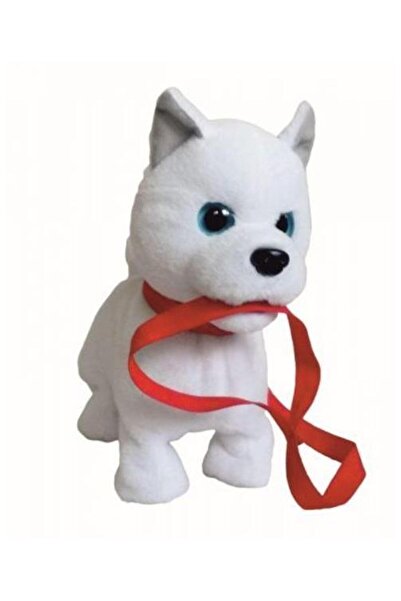 Piccolino Lup cel Mic - catelus cu os si lesa