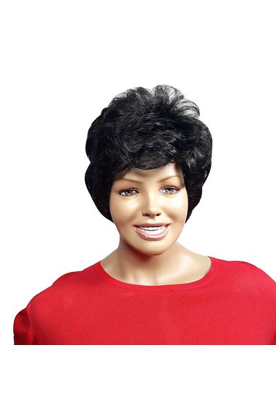 L-line fashion Women's wig, synthetic fiber, with a look, black 2