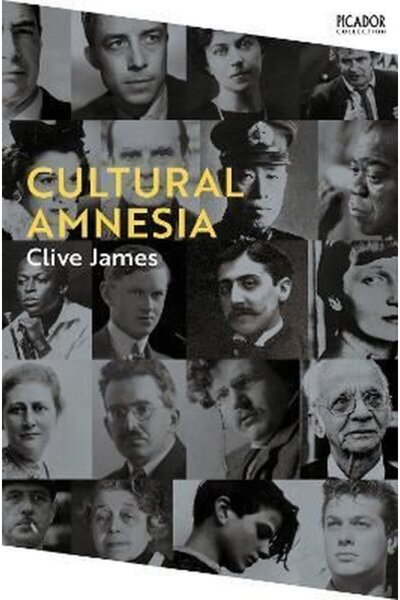 Picador Cultural Amnesia: Notes in the Margin of My Time (Picador Collection 16)