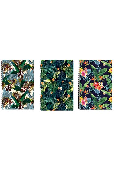 FLY COLOR A4 P.P Cover 120 Sheets Lined Patterned Ring Binder Notebook Set