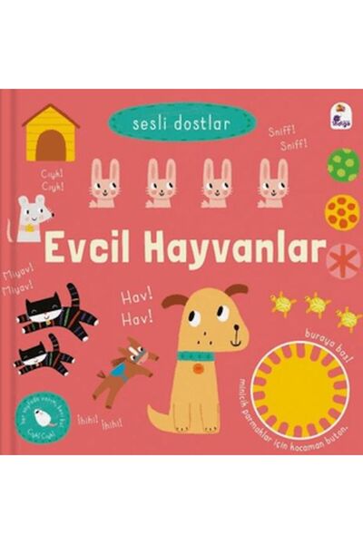 İndigo Kitap Sesli Dostlar - Evcil Hayvanlar (Sesli Kitap)