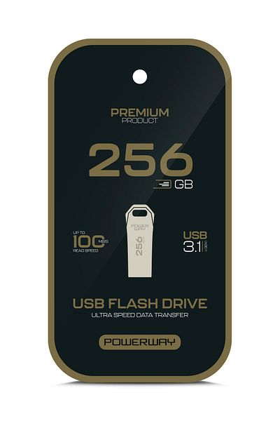 POWERWAY Premium 256 Gb USB 3.1 Metal Body Ultra Speed Flash Memory Data Traveler