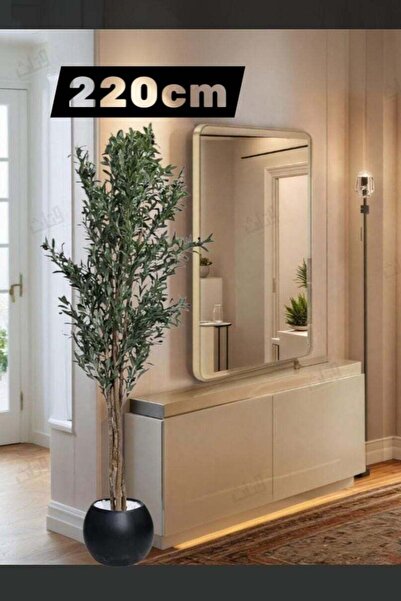 BYT ALRWASM FOR TRADE شجرة زيتون مثمرة في وعاء أسود كبير، 220 سم