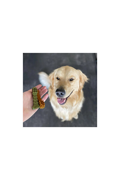 Duvo Plus فرشاة أسنان دوفو+ تشو! محشوة للأسنان، ٨ سم، ٢٠ قطعة، ٣٩٤ غرامًا. الأبعاد: ٨ سم، ٢٠ قطعة، ٣٩٤ غرامًا.