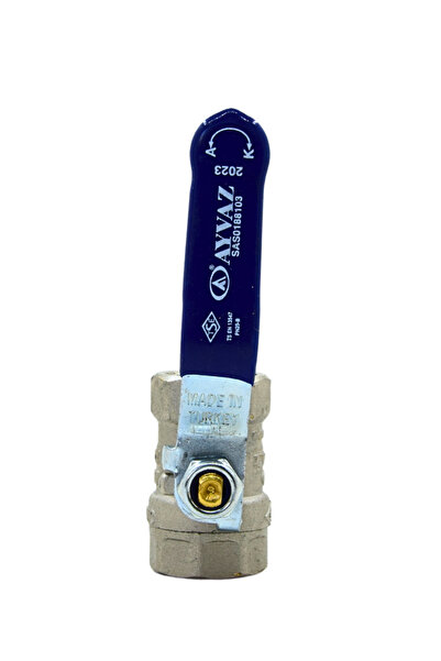 AYVAZ KÜRESEL SU VANASI 1/2'' SK-120