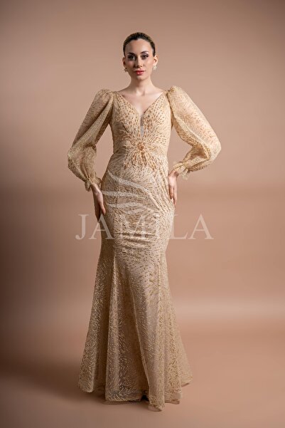 Lovely Dress Büyük Beden V Yaka Dantel İşlemeli Balık Form Abiye Elbise