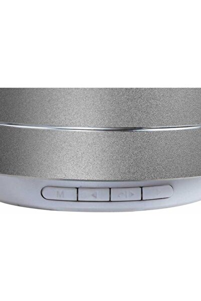 DomoClip Portable Speaker Clip Sonic TES196S, 3 W, FM Mode (Silver)