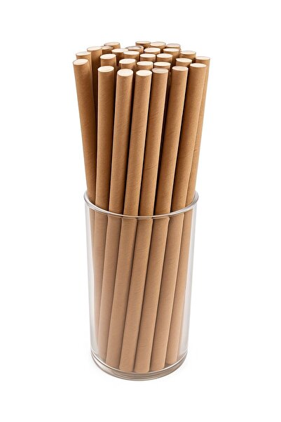 SANTA Sonta Natural Paper Pipette 6Mmx195Mm --4X24=96 Pieces