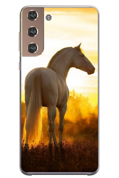 Atlas Персонализиран калъф за Samsung Galaxy S22 Plus, модел Кон #2, S1D1M0218