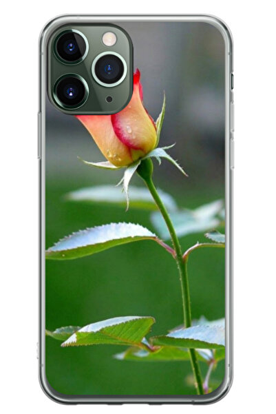 Atlas Husa personalizata pentru Apple iPhone 11 Pro, model Flowers #13, S1D1M...