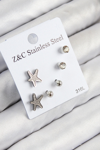 Clariss 316L الفولاذ الزركون حجر نجم البحر نموذج فضي اللون مجموعة أقراط نسائية