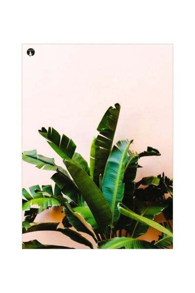 Generic Leaf Themed Metallic Plate Green/Pink/Black 20x15cm
