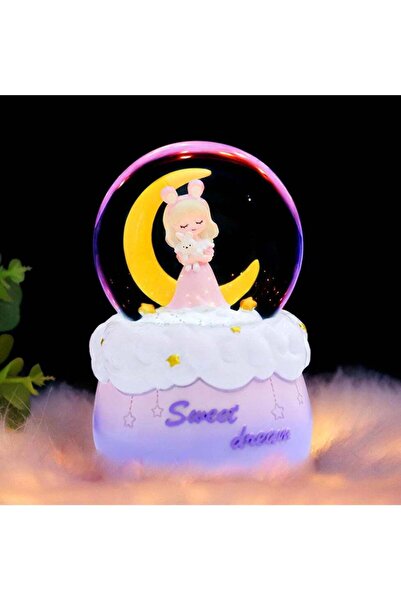 Generic SYOSI Snow Globes, Crystal Ball with Musical, LED Lights, Cute Princess Snow Globe, Manual Snow Dri