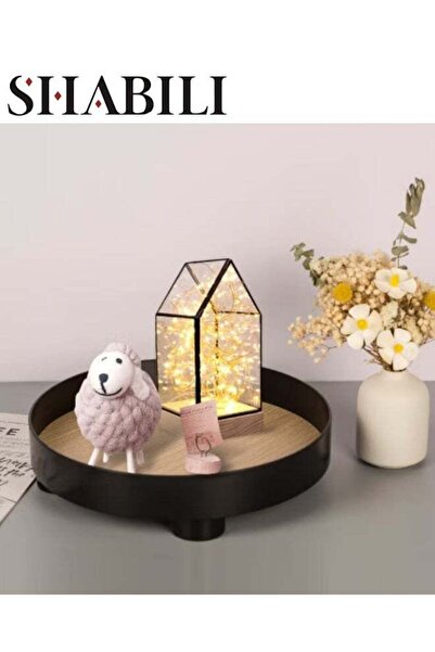 Generic Round PP Decorative Tray，Dresser Jewelry Ring Dish Tank Storage Kitch...