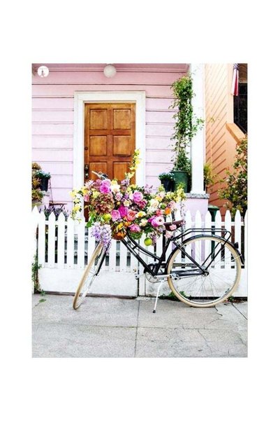 Generic Cycle Printed Plate Pink/Brown/White 20x15cm