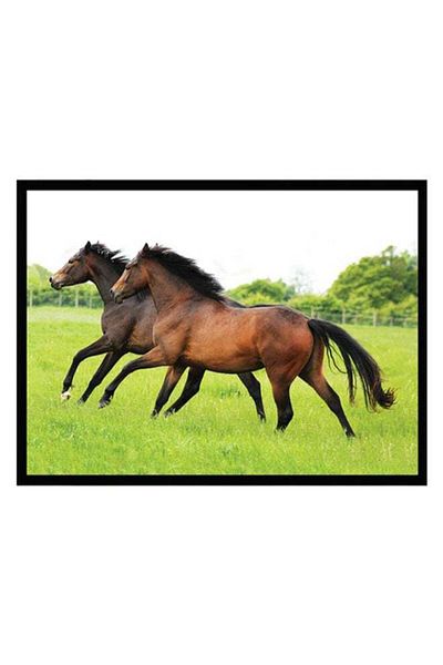 Generic Spoil Your Wall Horse Poster With Frame Green/Brown/Black 55 x 40cm