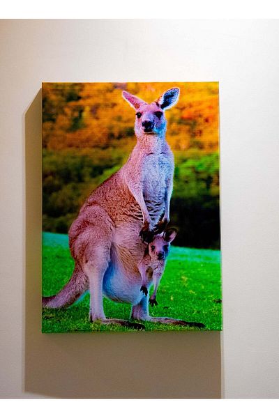 Generic Mother Kangaroo Canvas Wall Frame