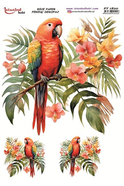 İstanbul Hobi ورق ديكور نحاسي 30×42 سم PT-1820