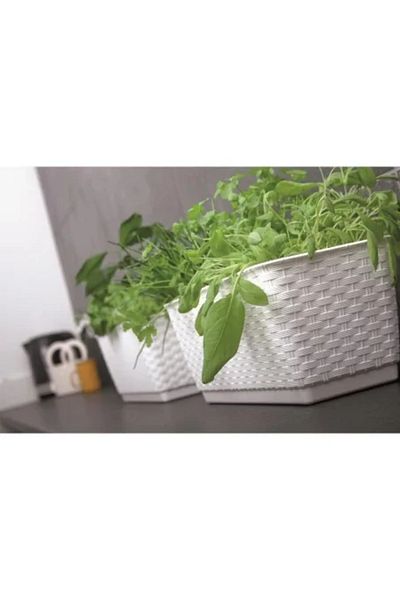 Prosperplast Decorative Planter, Prosperplast, Rattan Imitation, White, 59 x 15.4 x 14.2 cm
