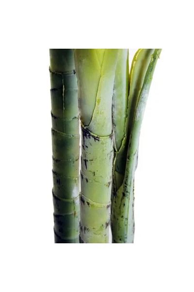 ART Artificial plant, palm tree with pot, green, 150 cm