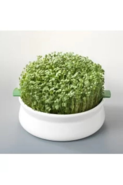 Dragon Superfoods Seminte de chia 200 g