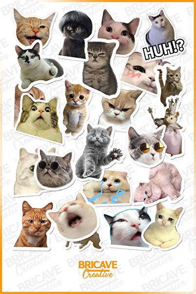 Bricave Sevimli Kedi Meme PVC Sticker Seti (2 Sayfa) / Laptop, Telefon, Journ...