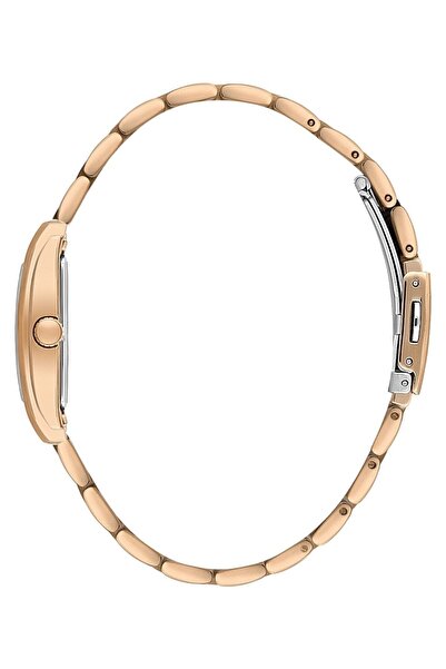 Daniel Klein Daniel Klein Women's Watch Dke.1.10863-5