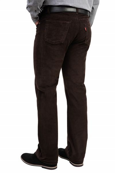 Forzaa Classic striped trousers, Forza, brown