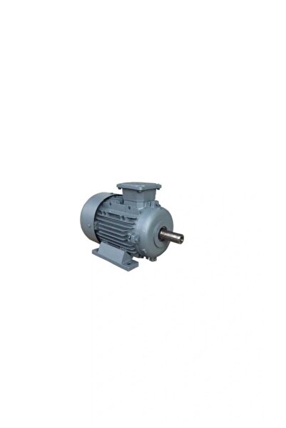 Volt 0,75-0,90 2850-3420 Devir TRİFAZE Elektrik Motoru