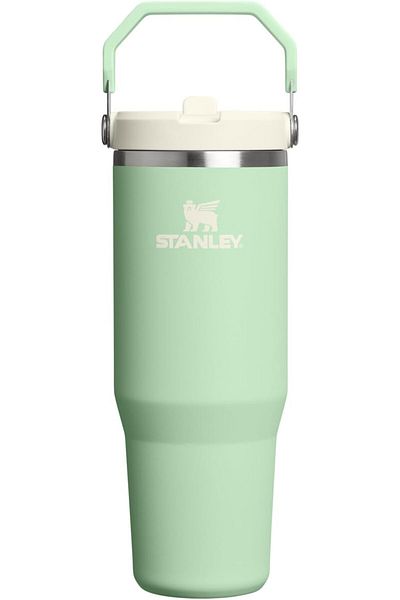 Stanley IceFlow 2.0 Flip Straw Tumbler with Handle 30 oz