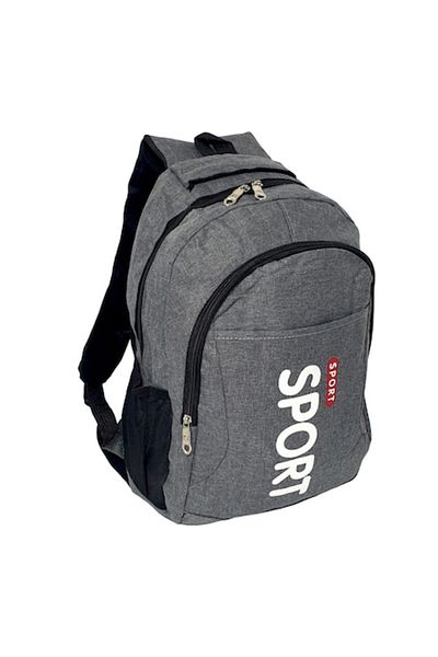 OEM Grey Backpack, 40 x 28 x 20 cm, 2 Compartments, RS03