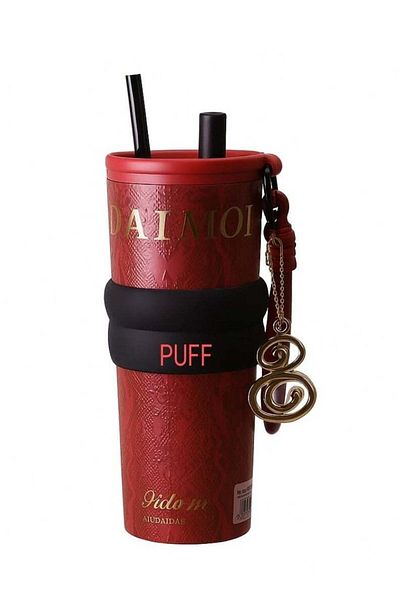 PUFF Insulated Tea Bottle with Infuser & Straw – Chinese Kung Fu Tea Thermos Set in Red – Travel Flas