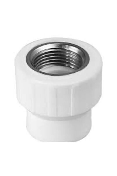 Egeyıldız Pvc Pprc 20 mm İç Dişli Maşon 2 ADET