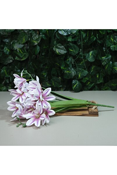 Kanguroom Gerçek Dokulu Yıldız Manolya 5 Dal 47 cm Lila Damarlı Islak Manolya...