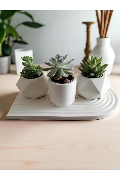 Grimsi 3’lü Beton Saksı Seti – Dekoratif Sunum Tepsili (Bitkiler Hariç)