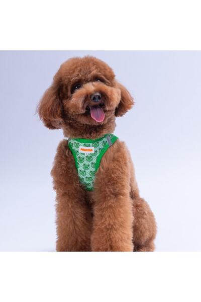 Pawstar Frog Air-Mesh Chest Harness Cat Dog Chest Harness Frog Pattern Dog Harness