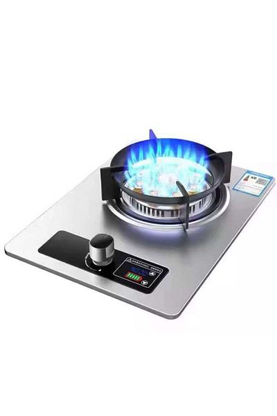 Rani Single Burner Gas Stove with Auto-Ignition, Stainless Steel Surface