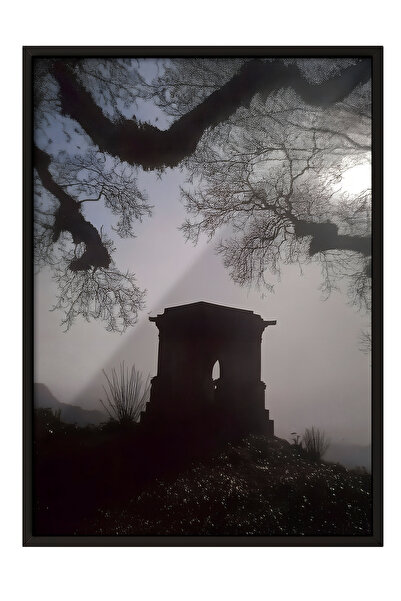 Zestia Tablou cu ramă neagră, Siluetă copac și cer, Poster decorativ pentru s...