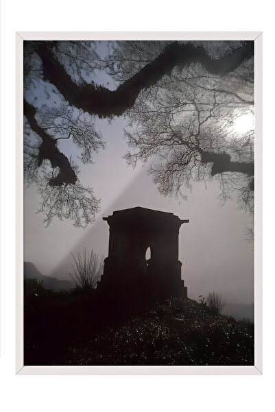 Zestia Tablou cu ramă albă, Siluetă copac și cer, Poster decorativ pentru suf...