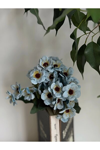 BUCOLIC Renkli Papatya Bahçesi Demeti